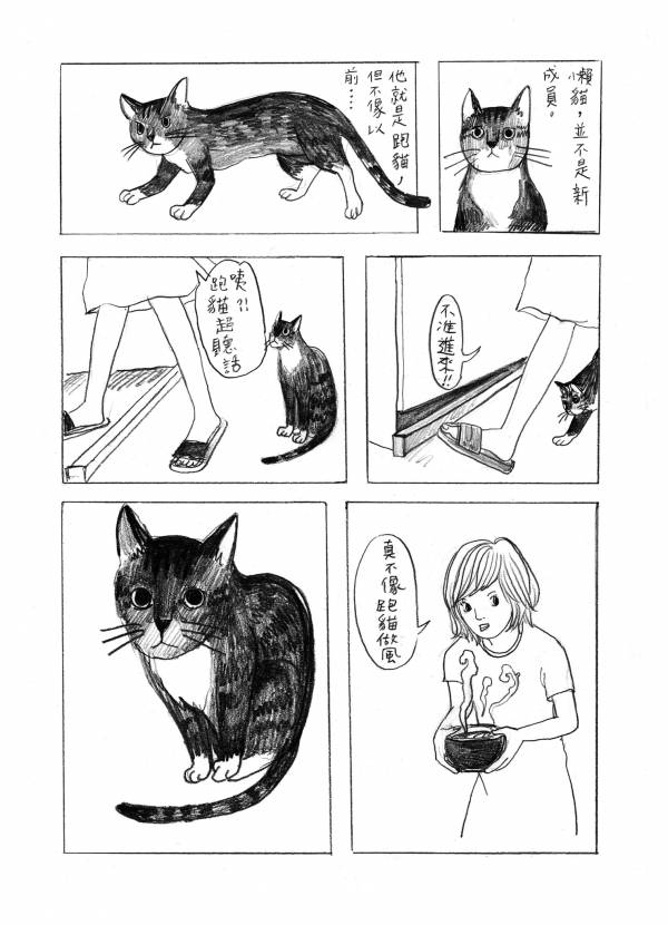 三貓俱樂部 Vol.1 ◇ 咪仔 