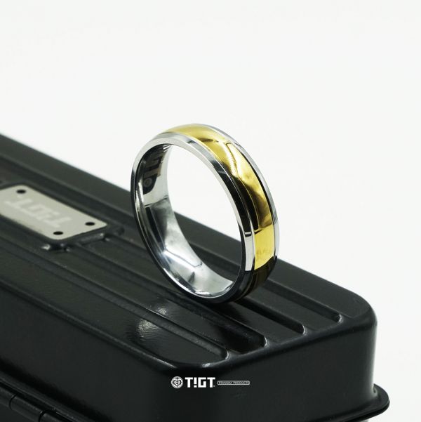 TIGT - 純鈦戒指 - 6mm寬 - 銀色間金一只裝 