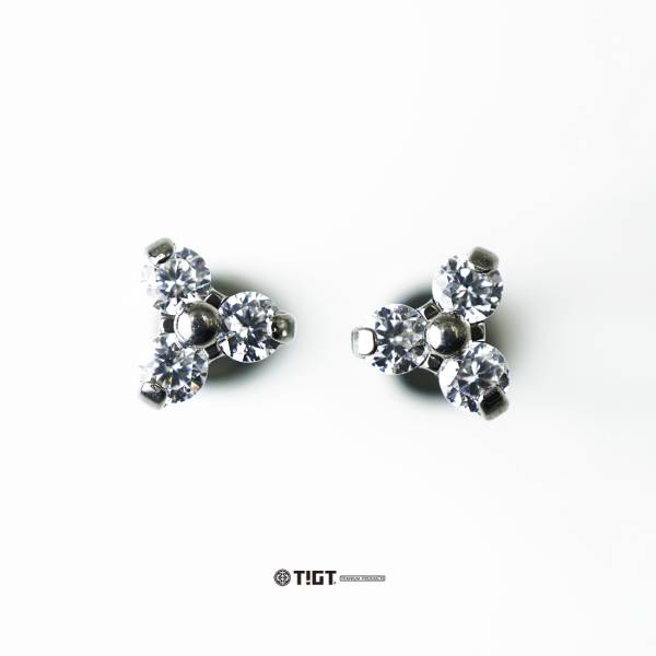 TIGT - 鈦金屬針體 + 鋯石X3 (一組兩支) 