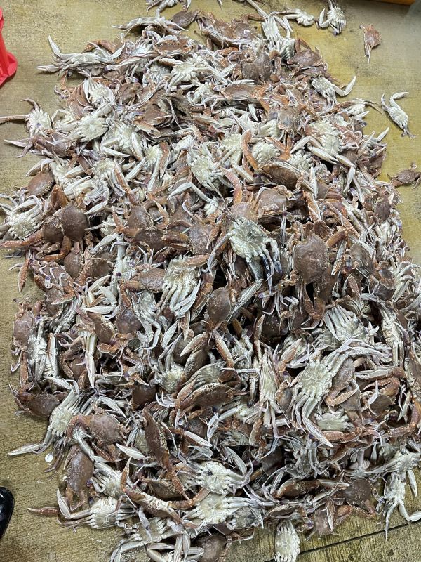 澎湖扁蟹(純蟹肉) (10包免運) 