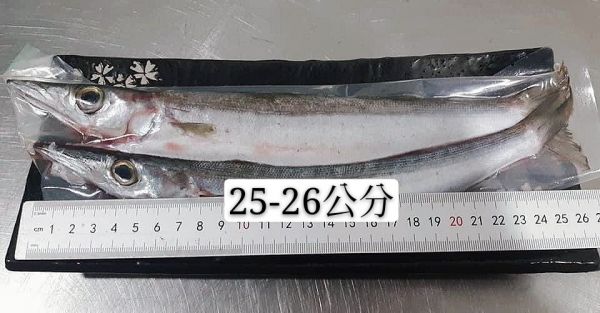 野生尖梭魚-1包 不含運-肉細緻 無暗刺 