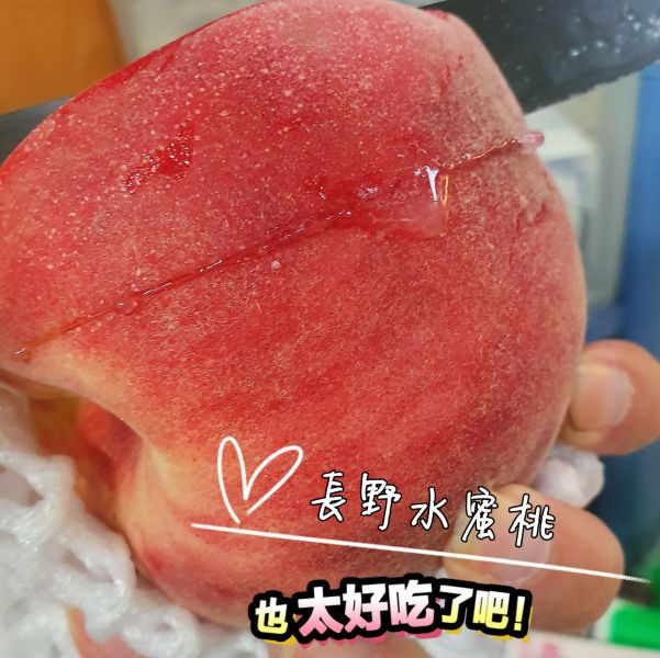 日本長野水蜜桃-最無敵的水蜜桃 