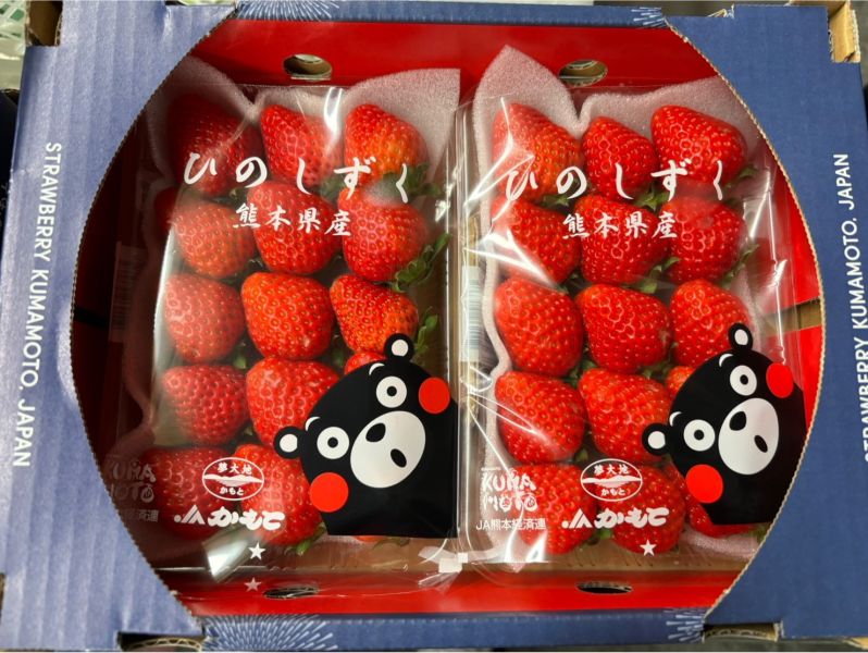 日本熊本草莓 