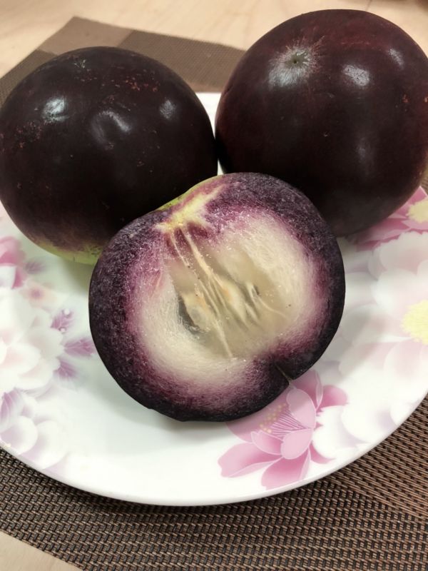 嘉義番路鄉-紫色牛奶果 