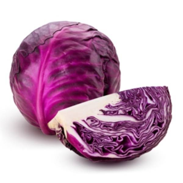 碧蘿村有機紫高麗菜-全素 