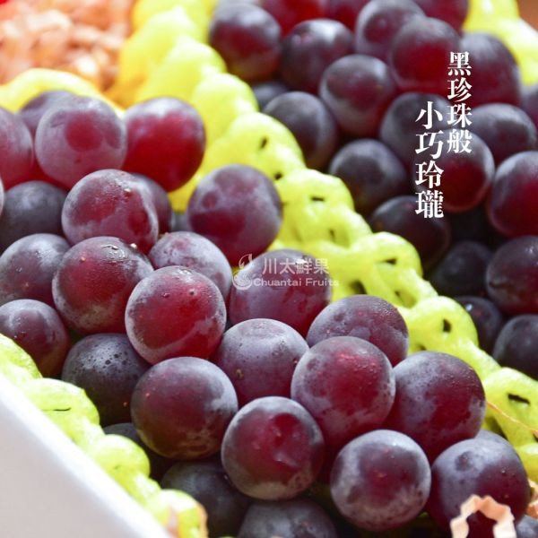 日本空運-珍珠葡萄、禮盒裝2串入(免運) 日本珍珠葡萄、珍珠葡萄