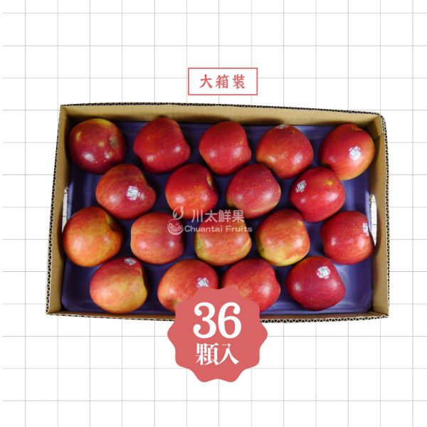 美國-富士蘋果、多規格(免運) 美國富士蘋果,富士蘋果,進口水果,水果箱,蘋果,好吃的蘋果,國外水果,水果宅配