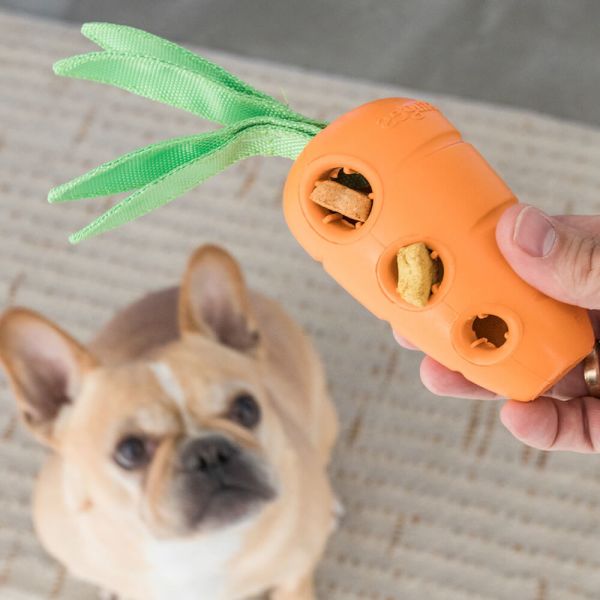 【狗狗潔牙玩具】益智胡蘿蔔 