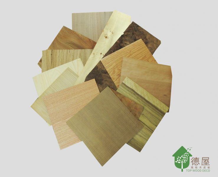 天然木皮的小知識-什麼是木皮？｜德屋天然建材 實木皮板,木皮板,天然木皮,天然木皮板,木皮黃金厚度,木皮,實木皮,裝潢木皮