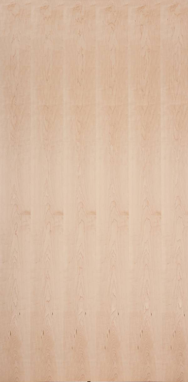 實木皮板-桂花(花紋) 室內設計,木皮板,塗裝板,木地板,木皮不織布,楓木,硬楓木,楓木皮,楓木板,楓木裝潢,