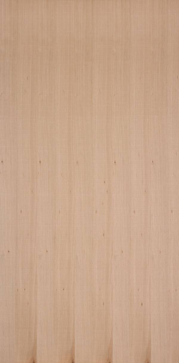 實木皮板-刻劃雪莉(直鋸木紋) 室內設計,木皮板,塗裝板,木地板,木皮不織布,白橡板,白橡裝潢,鋸木紋,白橡家具,白橡空間