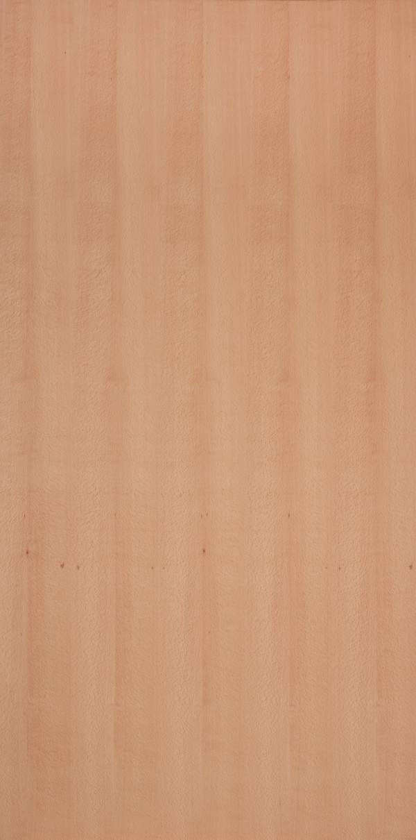 實木皮板-含笑花(直紋) 室內設計師推薦,木皮板,塗裝板,木皮不織布,櫸木,櫸木皮,櫸木板,櫸木裝潢