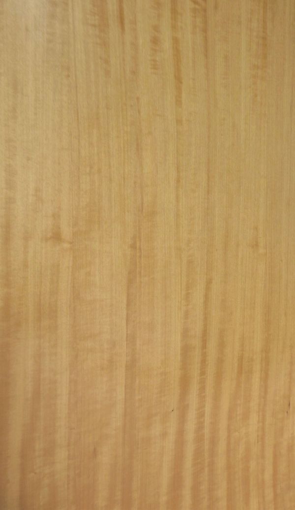 實木皮板-棣棠花(自然拼/直紋) 室內設計,木皮板,塗裝板,實木皮板,木皮不織布,室內裝潢設計材料,綠建材,安麗格,天然木皮,木皮