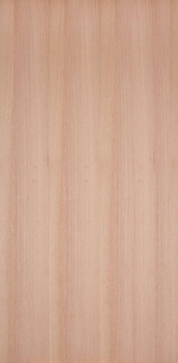 實木皮板-美人花(直紋) 木皮板,木皮不織布,紅橡,紅橡木,紅橡木皮,紅橡木板,健康綠建材,橡木,暖調裝潢,無印風,美式風格,美式經典