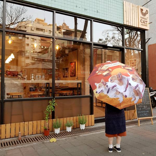 三寶自動摺疊雨傘-兩款 雨傘,陽傘,連環泡有芒果,帥美號,酒酒,大大,多多,白眼傘,單身傘