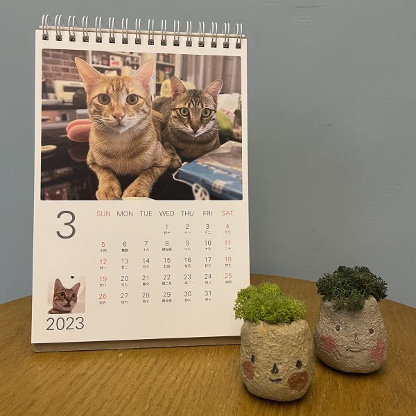 2023-壯壯與貓貓們桌曆 掛曆,桌曆