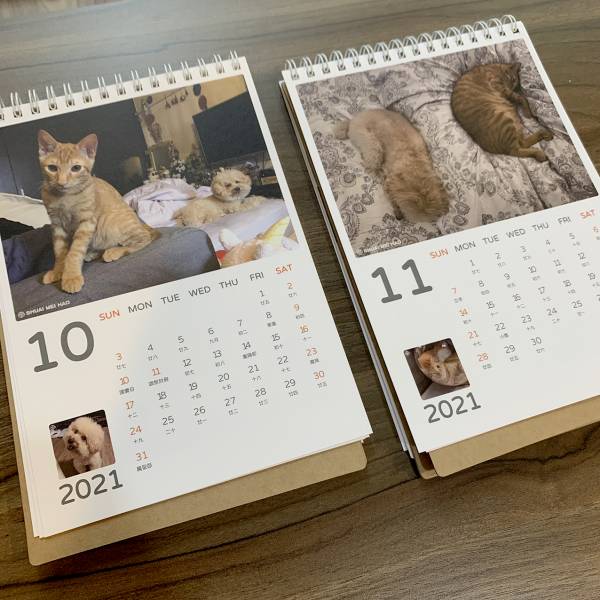 2021-壯壯鵝鵝桌曆 掛曆,桌曆