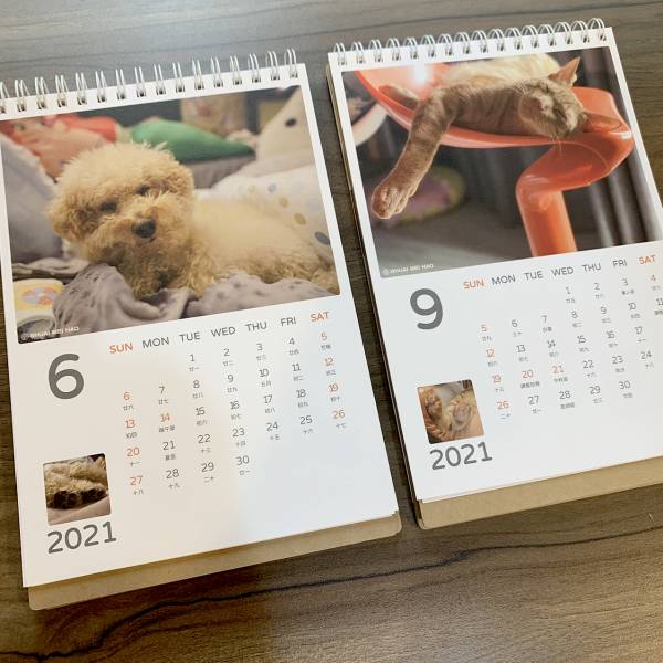 2021-壯壯鵝鵝桌曆 掛曆,桌曆