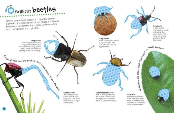 DK Bugs Ultimate Sticker Book (百科貼紙書：蟲蟲) 