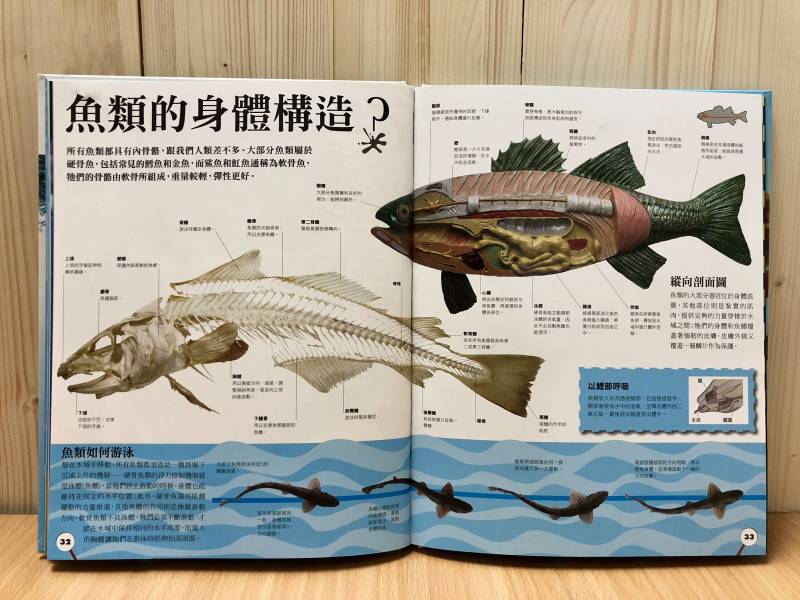 細說鯊魚與其他海洋動物(DK小百科02) 