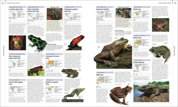 DK Animal The Definitive Visual Guide(終極動物圖鑑 2022版) 