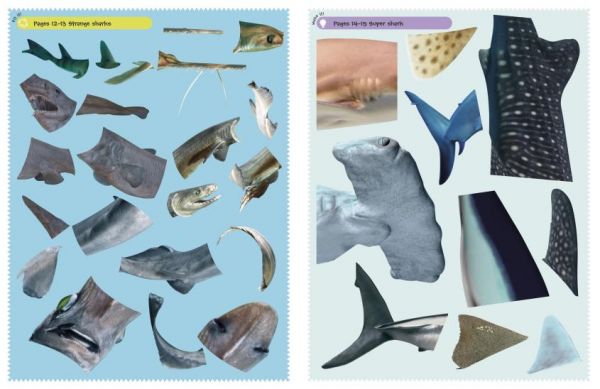 DK Sharks Ultimate Sticker Book (百科貼紙書：鯊魚) 