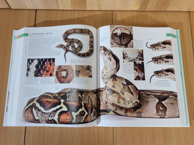 DK The Natural History Book New Edition ( 自然史大百科 增修版) 