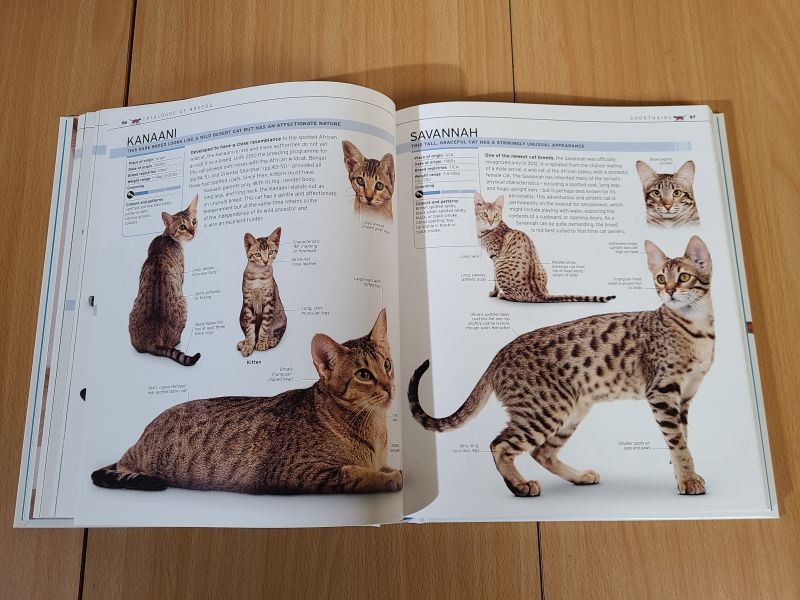 DK The Complete Cat Breed Book(貓咪品種圖鑑 增修版) 