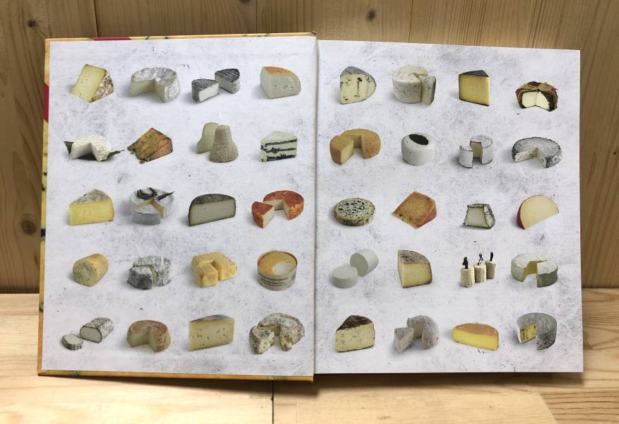 DK world cheese book (全球起司大百科) 