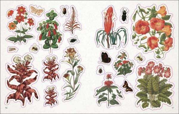 DK The Botanist's Sticker Anthology(古典畫風貼紙精選輯：植物篇) 