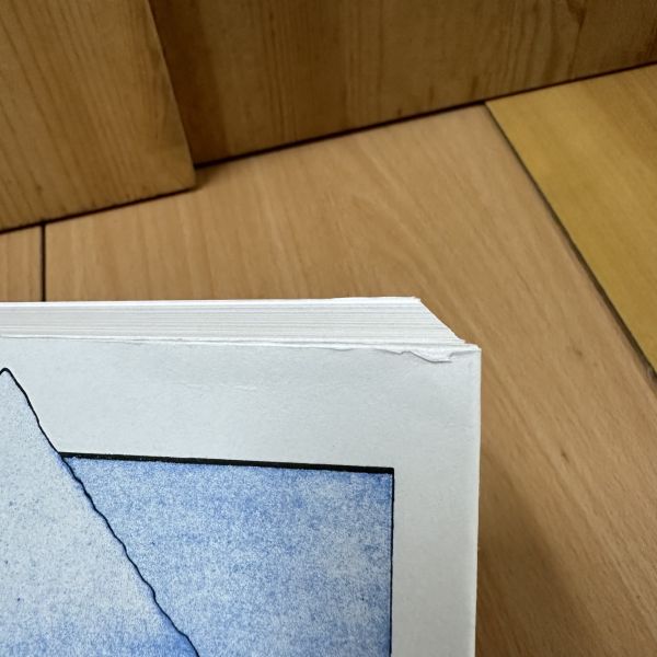 (骨折)Hokusai’s Fuji(北齋富嶽) 