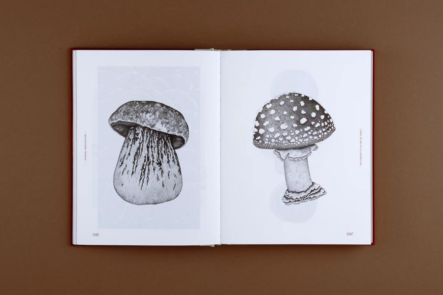 Fungal Inspiration: Art and design inspired by wild nature(蕈類插畫藝術：從大自然擷取靈感) 