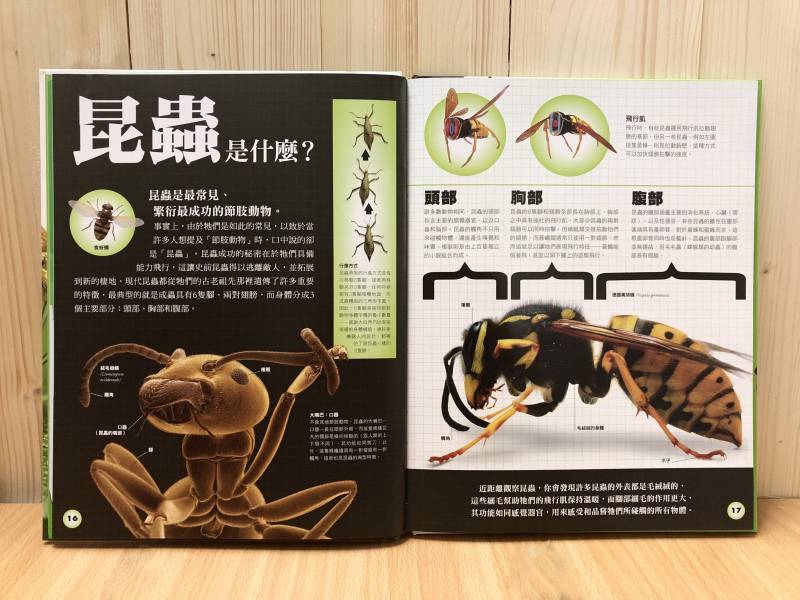 細說昆蟲與其他節肢動物(DK小百科04) 