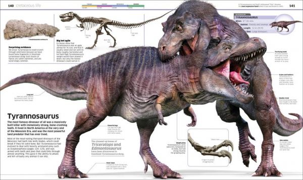 DK Knowledge Encyclopedia Dinosaur! New Edition (恐龍大百科 增修版) 