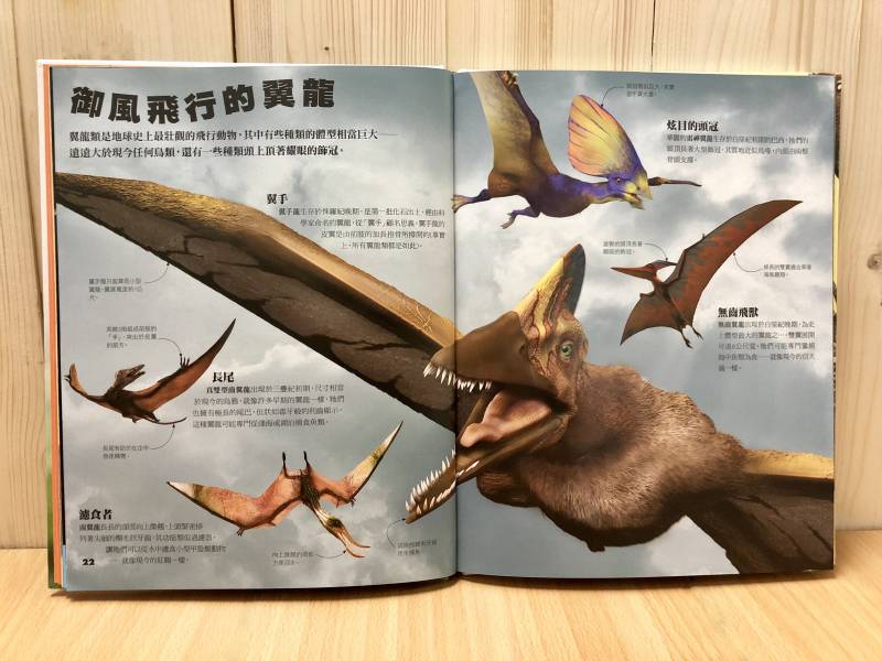 細說恐龍與其他史前動物(DK小百科01) 