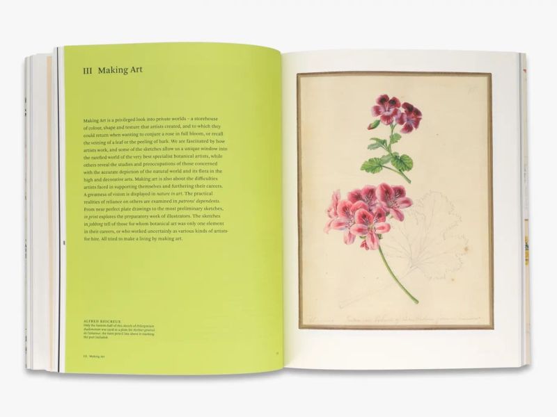 Botanical Sketchbooks(植物素描手札) 