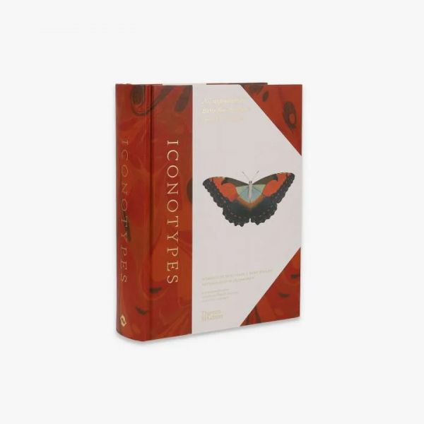 Iconotypes: A compendium of butterflies and moths. Jones’s Icones Complete (William Jones蝶蛾類插畫圖鑑) 