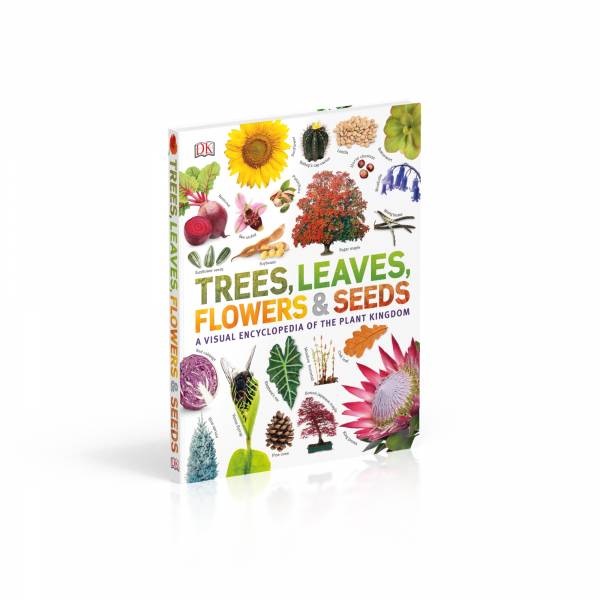 DK Trees, Leaves, Flowers & Seeds (植物百科：樹木、葉、花、種子) 