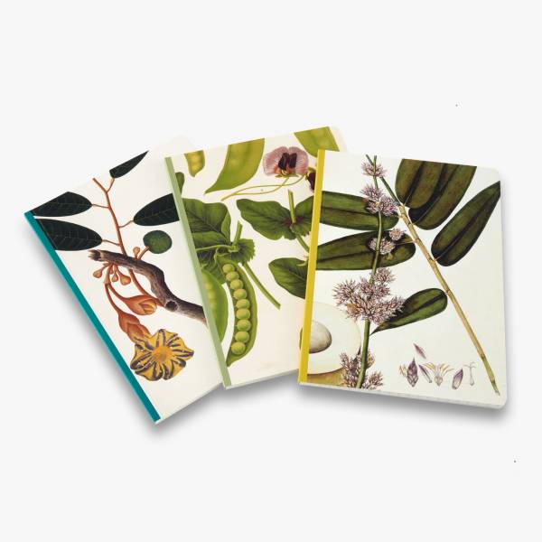 Remarkable Plants: Set of 3 A5 Notebooks(英國皇家植物園植物筆記本A5三合一) 