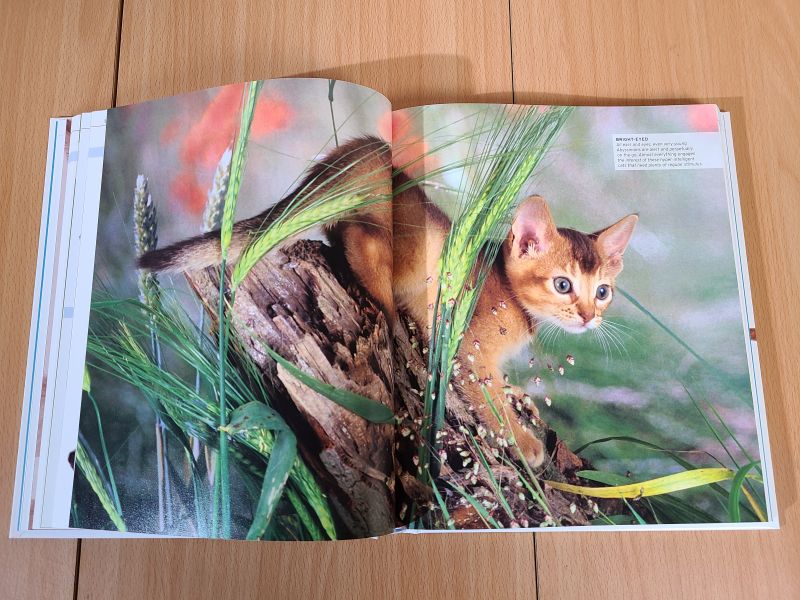 DK The Complete Cat Breed Book(貓咪品種圖鑑 增修版) 