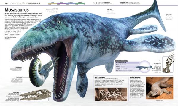 DK Knowledge Encyclopedia Dinosaur! New Edition (恐龍大百科 增修版) 