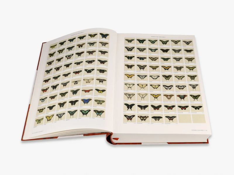 Iconotypes: A compendium of butterflies and moths. Jones’s Icones Complete (William Jones蝶蛾類插畫圖鑑) 