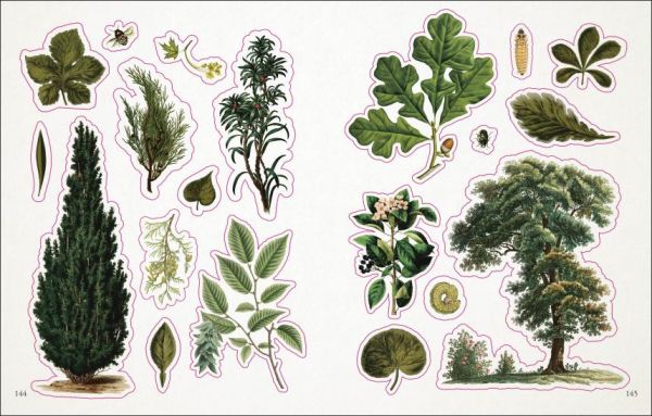 DK The Botanist's Sticker Anthology(古典畫風貼紙精選輯：植物篇) 
