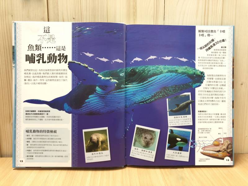 細說鯊魚與其他海洋動物(DK小百科02) 
